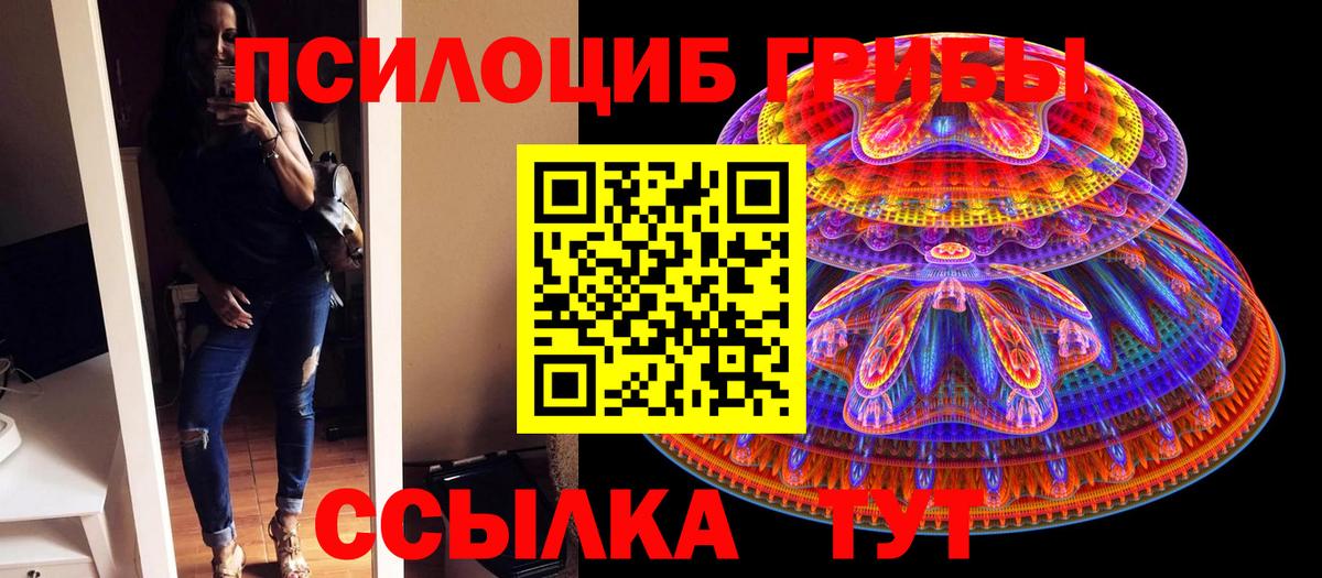 Светлоград  Галлюциногенные грибы Psilocybe  дарнет шоп  Вход с VPN 