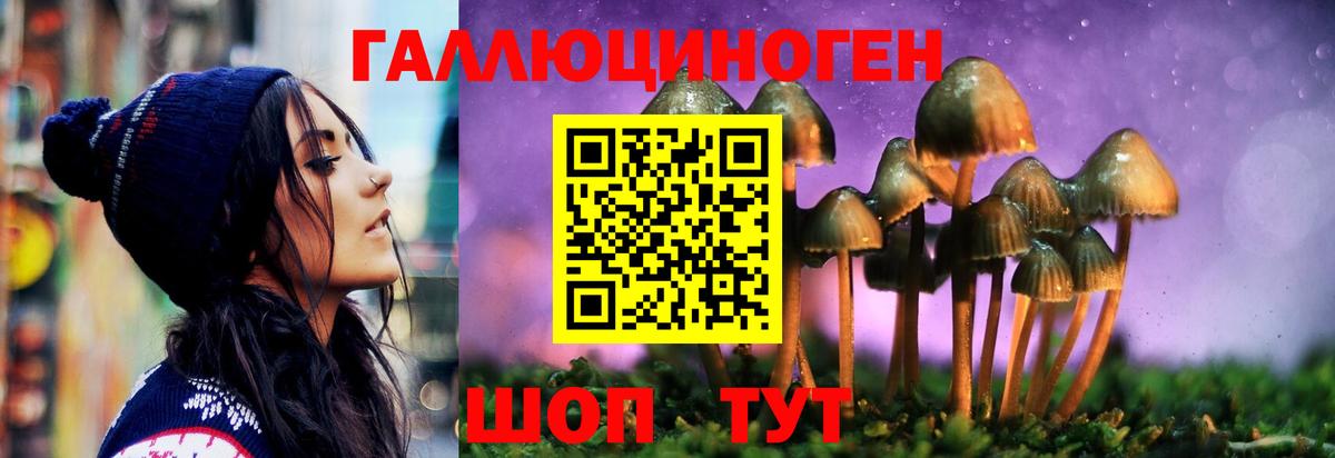 Галлюциногенные грибы Psilocybine cubensis Светлоград