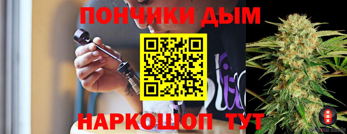 Конопля планчик Светлоград